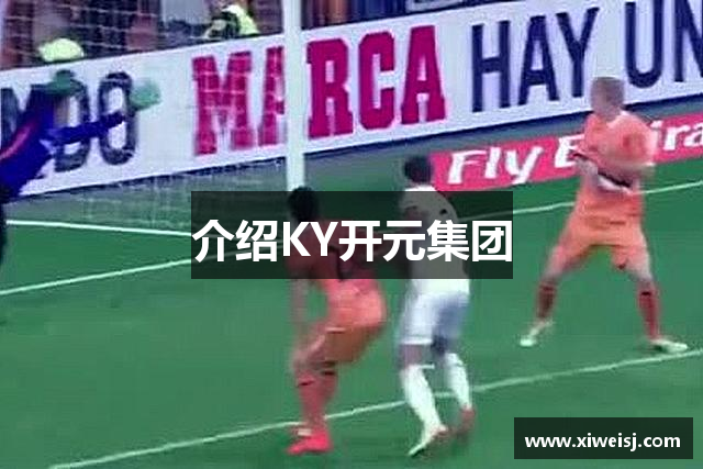 介绍KY开元集团